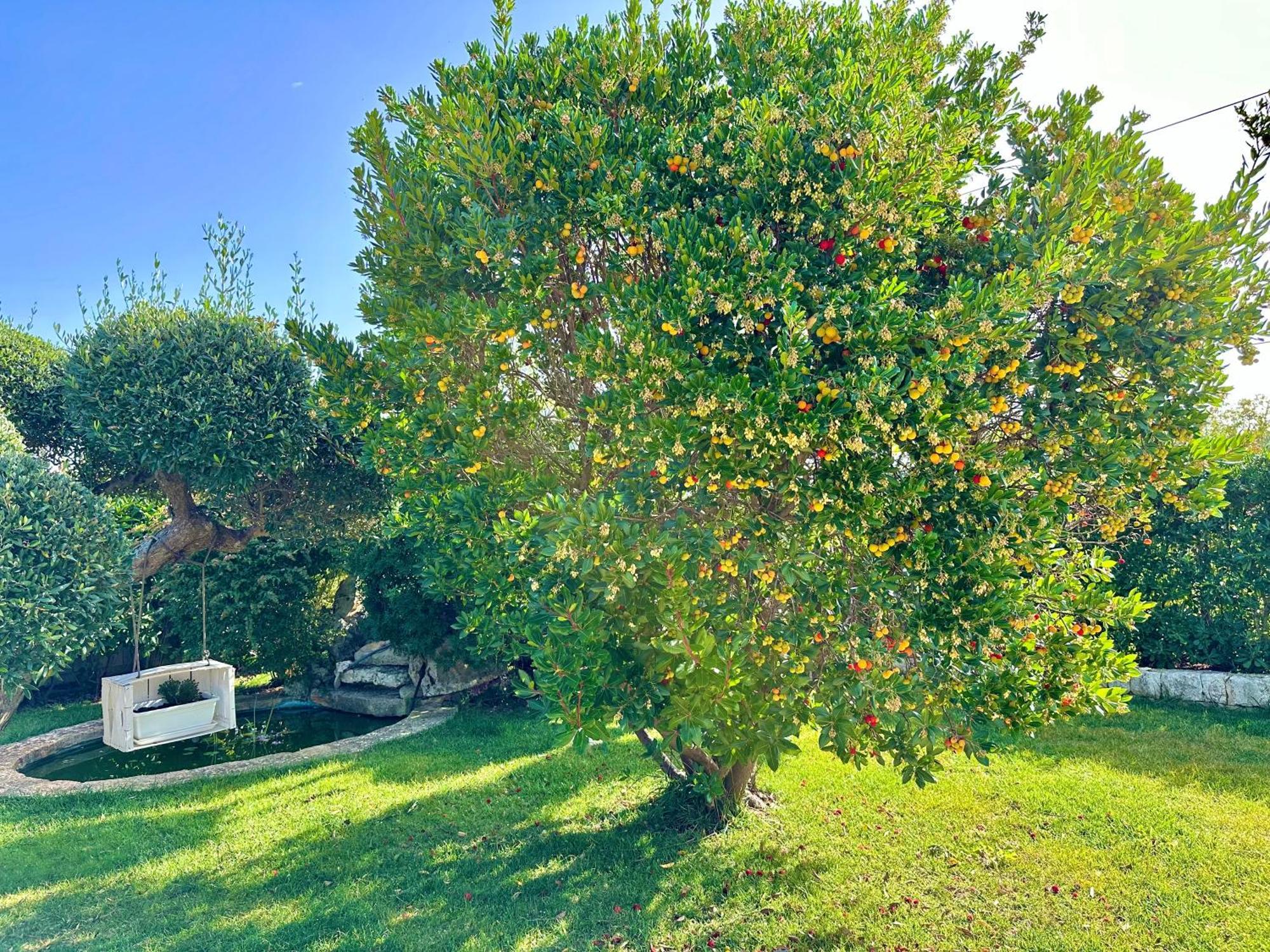 Trulli Fenice Alberobello Habitación foto